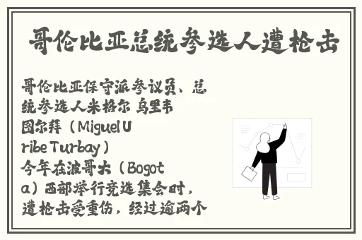 公与淑婷厨房猛烈进出